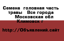 Семена (головная часть))) травы - Все города  »    . Московская обл.,Климовск г.